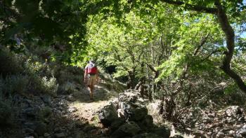 in der Sirikari-Schlucht