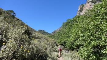 in der Sirikari-Schlucht