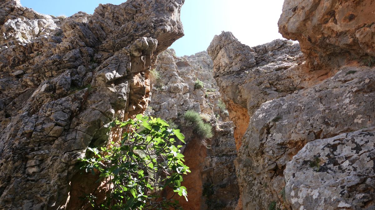 Anopolis-Schlucht