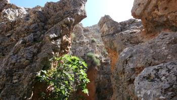 Anopolis-Schlucht
