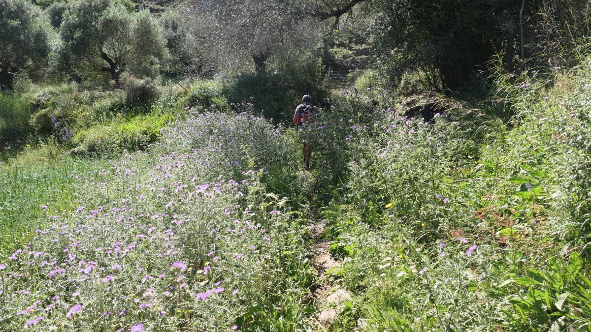 Blütenweg