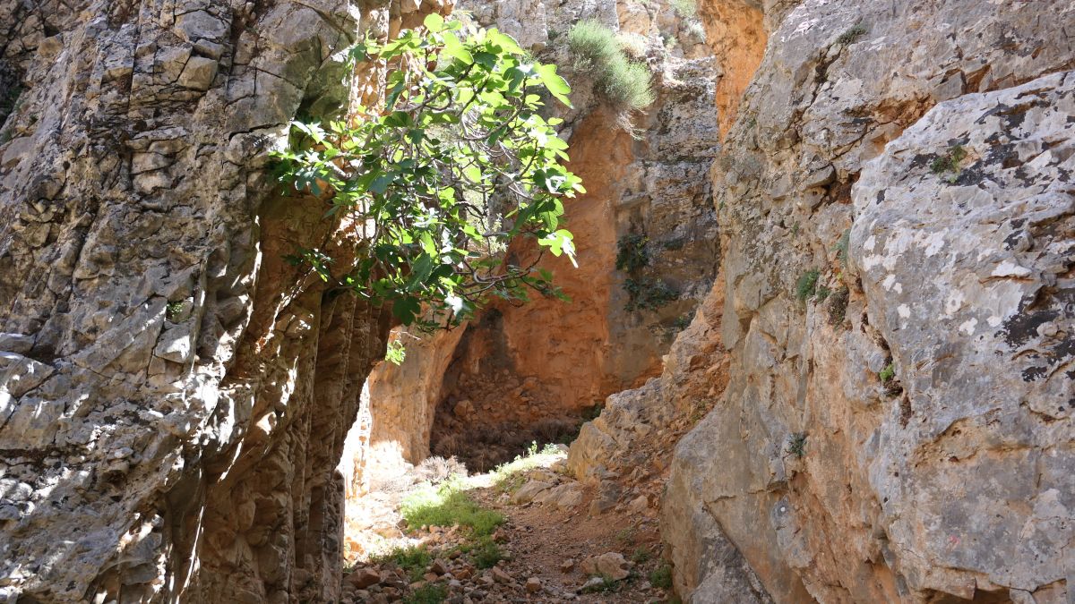 Anopolis-Schlucht