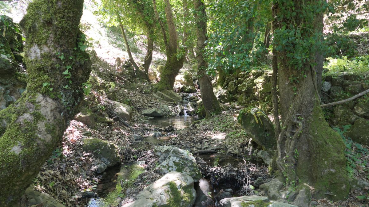 Mini-Wasserfall