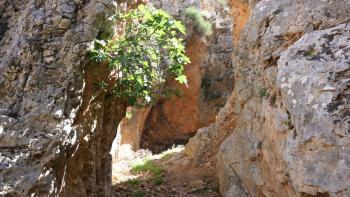 Anopolis-Schlucht