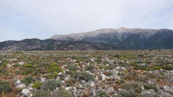 Hochebene vor Livaniana