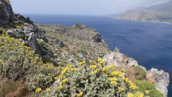 Wanderung um Kap Kako Mouri