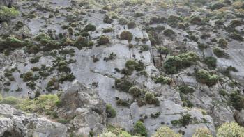 glattgeschliffene Felswände mit Bewuchs