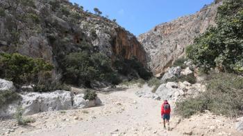 am Eingang der Schlucht