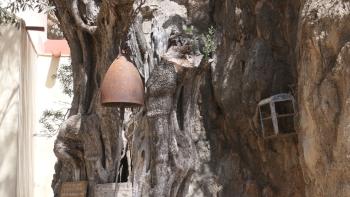 noch einmal die Glocke im Baum