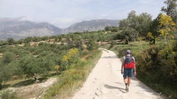 Feldweg durch die Olivenplantagen