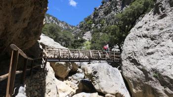 Brücke, erstaunlich stabil