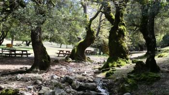 Picknickplatz am Endpunkt