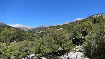 Blick ins Ida-Gebirge