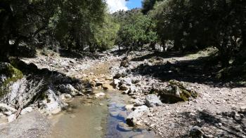 noch gibt es Wasser im Bach