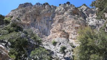 Blick nach oben