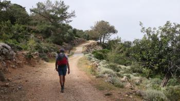 Anfang der Wanderung