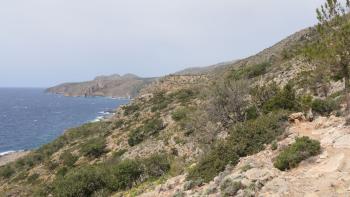 Blick nach Westen