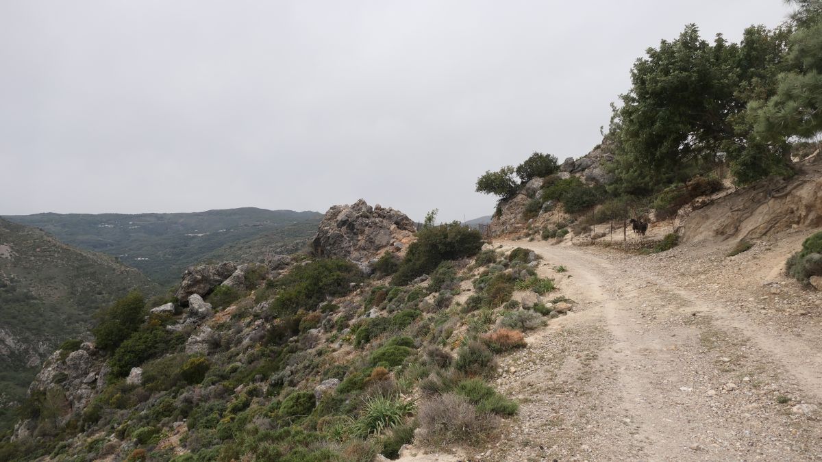 Rückweg