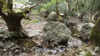 im Oberlauf gibt es noch Wasser