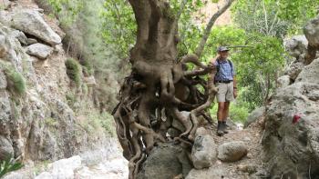 Agia-Irini-Schlucht