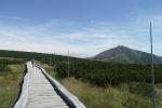 Hochmoor und Schneekoppe