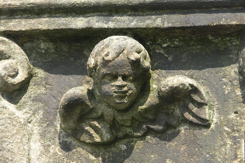 Engel