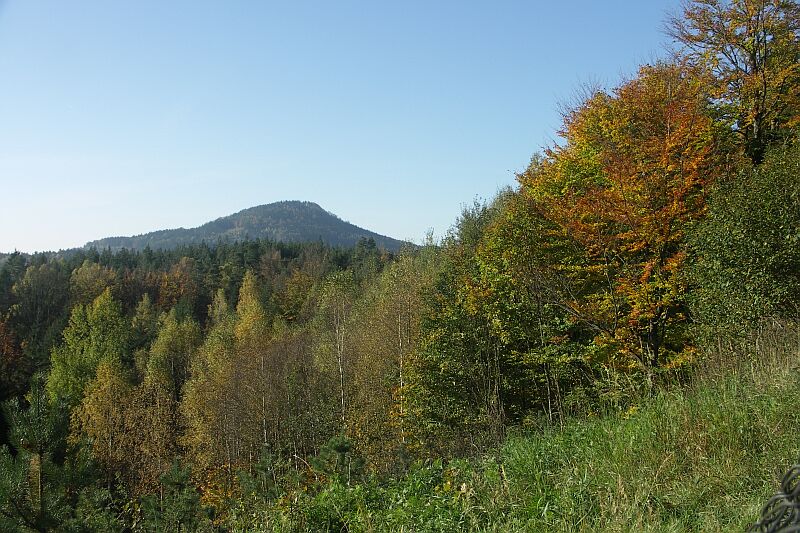 Hochwald