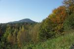 Hochwald