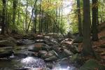 Tal der Nedaschützer Skala, der Bach heißt Schwarzwasser