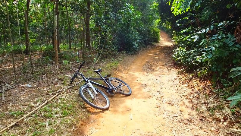 Rast im Kautschuckwald