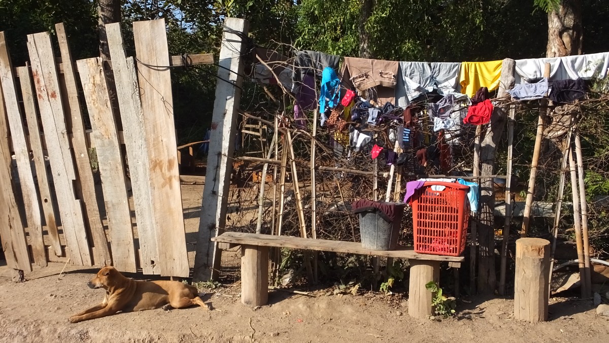 Wäsche mit Wachhund