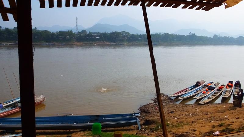 wieder am Mekong