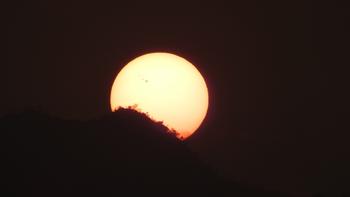 Sonnenscheibe mit Sonnenflecken vor Urwaldgipfel