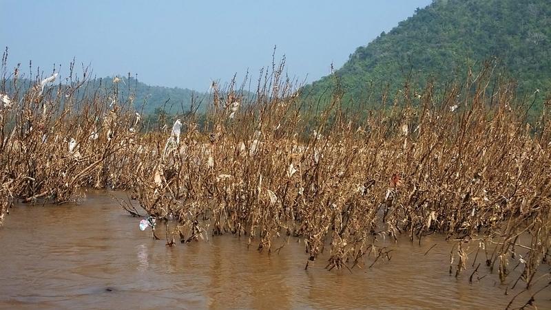 hier kann man mal sehen, wieviel plastikmüll der Fluss transportiert