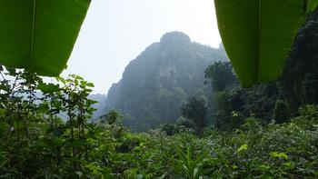 Bananenblätter und Berge