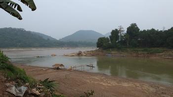 Bambusbrückenbau übder die Flussmündung des Nam Khan