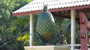 Denkmal für die Ananas
