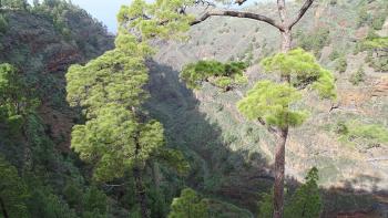 Barranco de Izcagua