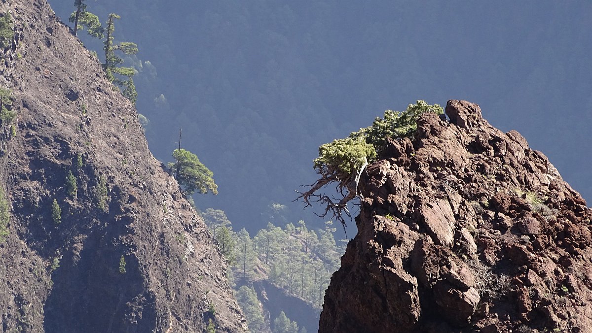 Blick in die Caldera