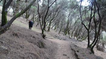 Beginn der Wanderung am kühlen Morgen