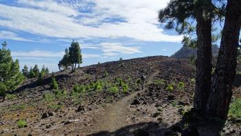 Weg zum Pico Nambroque