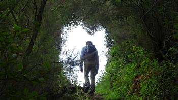 Camino de las Fuentes de las Breñas