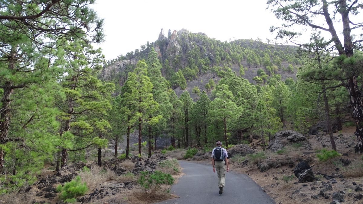 Beginn der Wanderung noch auf Asphalt