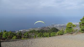 Paraglider