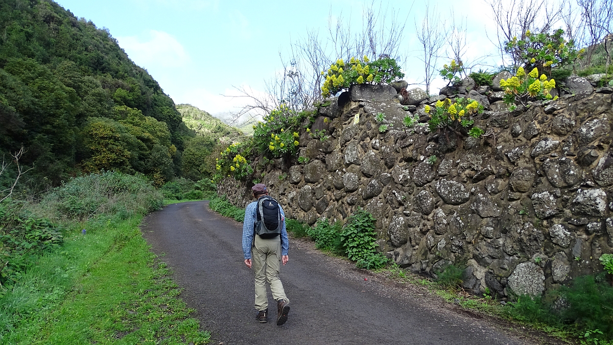 Camino Barranco de Aguacencio