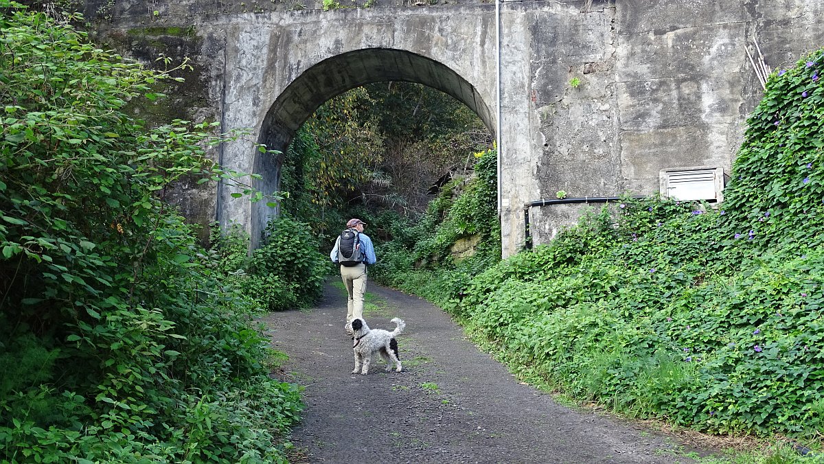 Aquaduktbrücke (Canal de Laja Brena)