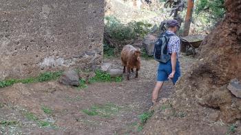 Beginn der Wanderung mit tierischer Begegnung