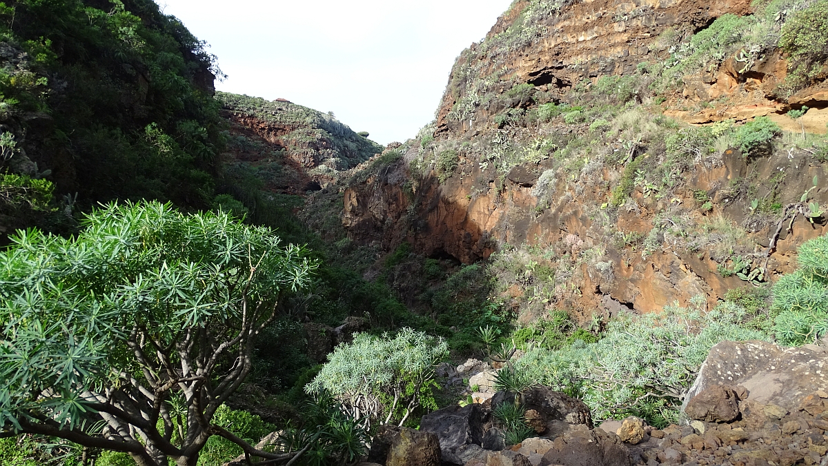 Barranco de Los Tanques