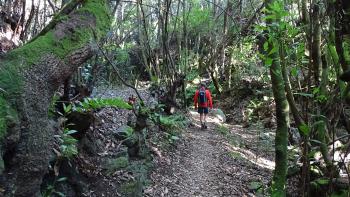 Bergab im Barranco La Zarza