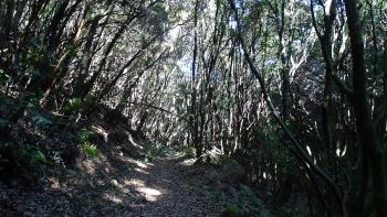 Barranco Magdalena